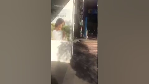 🇹🇼Far East Adventure Travel🇹🇼Takin To The Streets Of Taipei🐒Zhongxiao Dunhua District