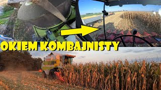 KOSZENIE KUKURYDZY OKIEM KOMBAJNISTY🌽CLAAS & CAPELLO💪Agro Dniówka #306