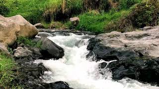 River White Noise to Relax Your Mind in Total Silence – Relax Instantly – Stop Overthinking