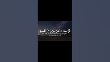 قرآن كريم | سورة الزّمر .. القارئ : ياسر الدوسري