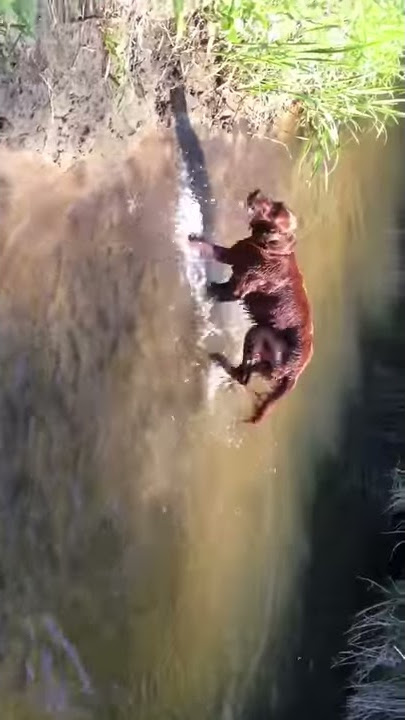 Setery i kąpiel