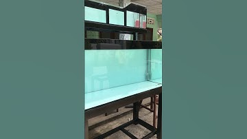 Tràn trên, lọc đầu tàu kt: 1m33*60*65