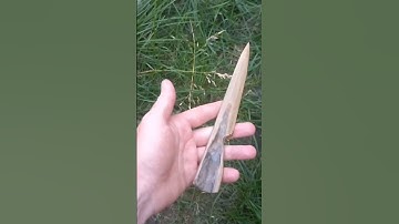New hand polished fossilised bone dagger