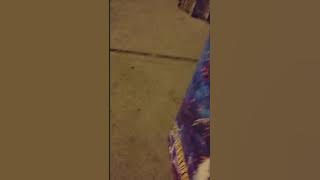 FELIZ AÑO NUEVO 2020 TORTA 