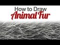 How to Draw Animal Fur