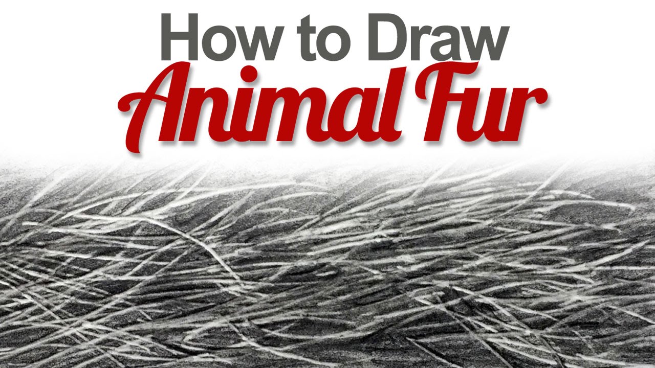 How to Draw Animal Fur - YouTube