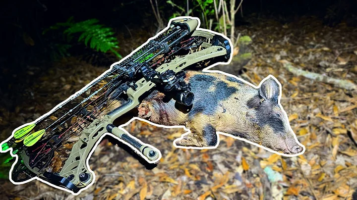 Florida HOG HUNT on Public Land! How to Hunt Hogs - GUARANTEED RESULTS