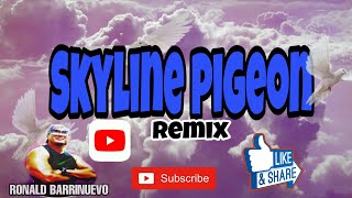 SKYLINE PIGEON REMIX/CHOREO  BY ZIN RONALD