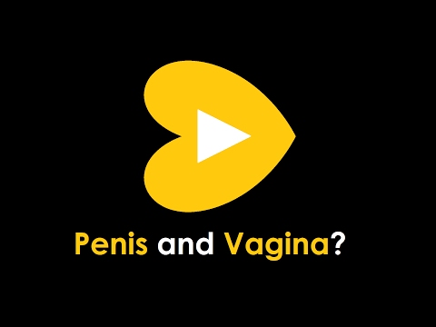 Penis and Vagina?