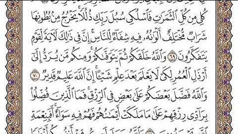 سورة النحل 68-72 توجيهي 2006 بقراءة الشيخ ياسر الدوسري