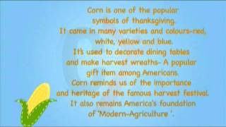 Thanksgiving day symbols: Corn