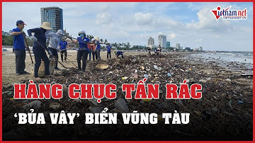Hàng chục tấn rác đại dương ‘bủa vây’ bãi biển Vũng Tàu | Báo VietNamNet