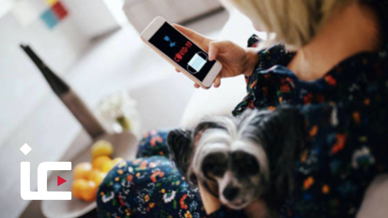 Coronavirus UK: Police warn of fake news linked to COVID-19