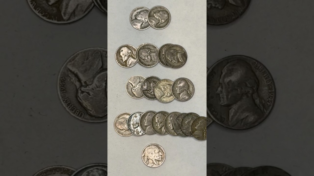 Buffalo mixed in:( APMEX Silver War Nickels 