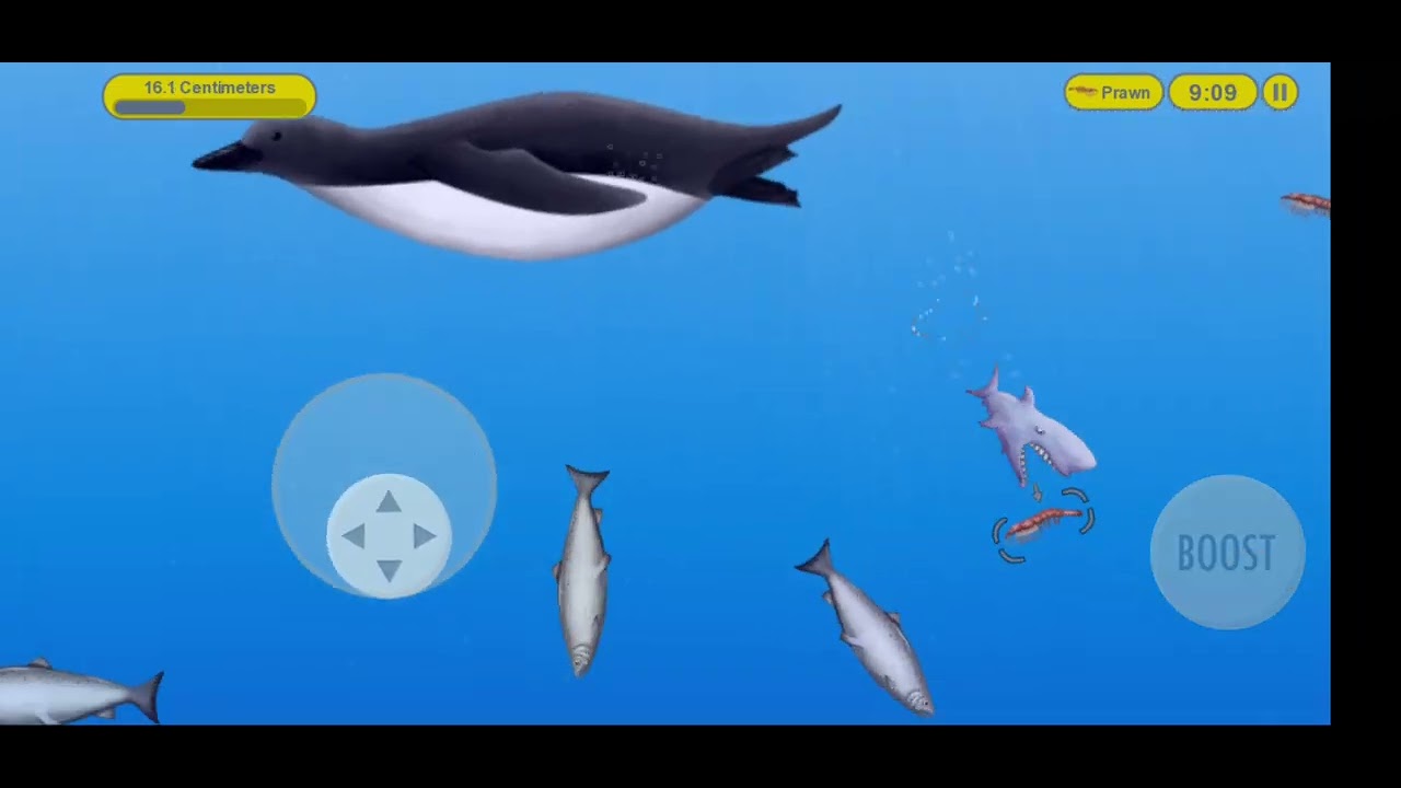 Tasty Blue: Tale Of A Shark