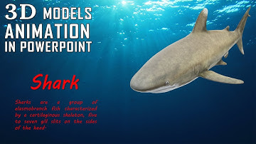 How to Insert and Animate 3D Models in PowerPoint Presentation