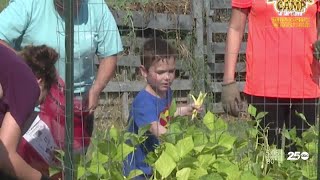 Brazos Valley Food Bank garden feeds and teaches
