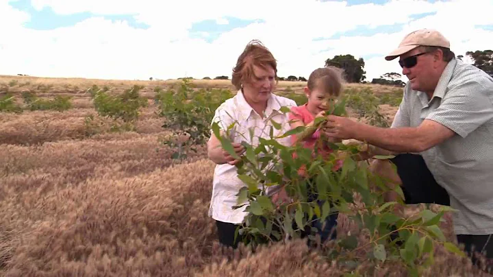 'Oil Mallee Growers' Story