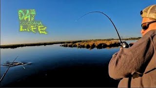 Chasing Redfish  South Louisiana Marsh (Bonus End Footage)