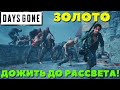 Days Gone(Жизнь После) - Я взял золото! Дожить до рассвета!Испытание!