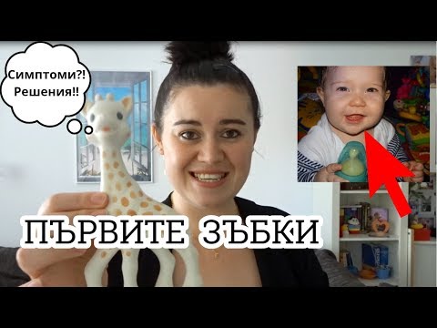 Видео: Колко зъби имат възрастните: отгоре, отдолу и бебета