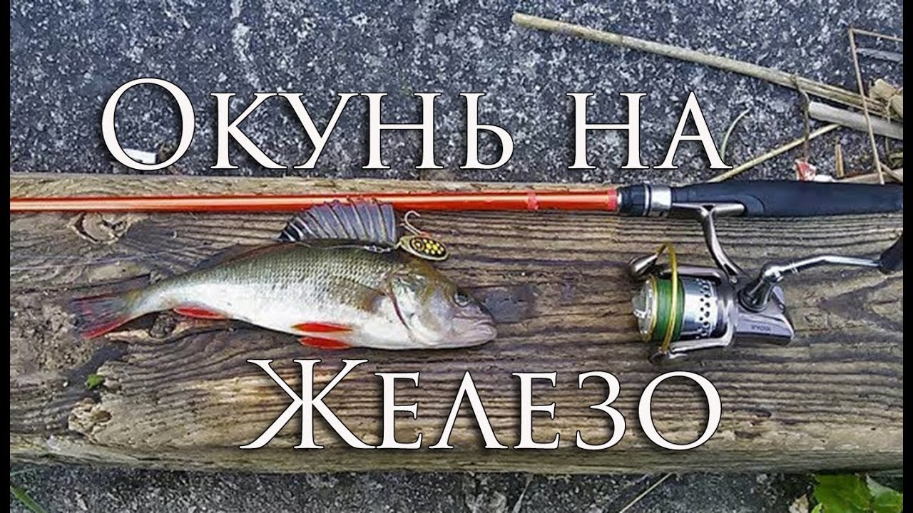 Железо на оку