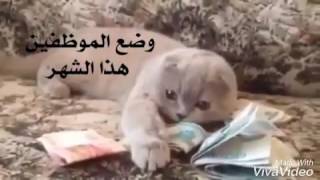 سهش