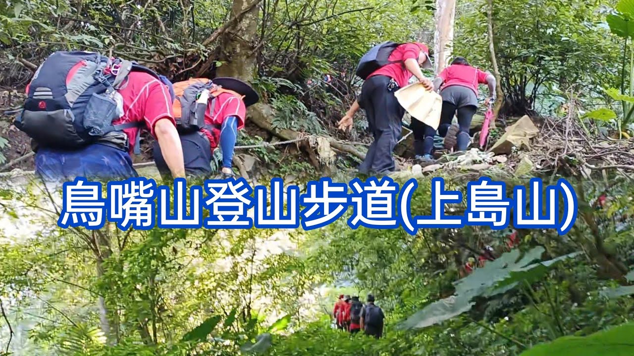 鳥嘴山登山步道(上島山)/20240901 - YouTube