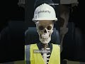 What happens if you were the last engineer on earth