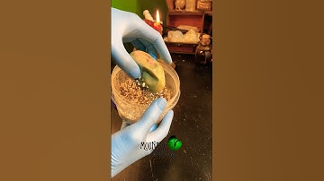 This was one of the nastiest eggs!#molinarosnakelab #halloweenwithshorts #snakeeggs #ballpython #diy