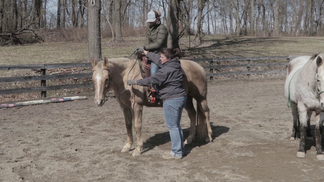Tips on How to teach the One Rein Stop. Horse Training Video for