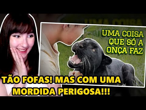 ONÇA-PINTADA, A MORDIDA MAIS FORTE DE TODAS!! 😱 | REACT TIAGO JÁCOMO