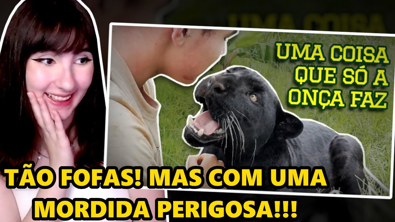 ONÇA-PINTADA, A MORDIDA MAIS FORTE DE TODAS!! 😱 | REACT TIAGO JÁCOMO