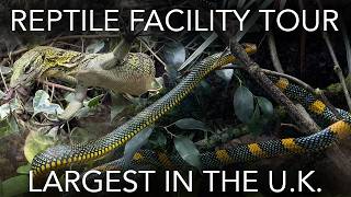 UK's Best Reptile Facility Tour!