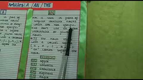 CLASS-1, English Grammar Chapter- 9, The Use Of A ,An and The(DON BOSCO PUBLIC SCHOOL, PATNA )