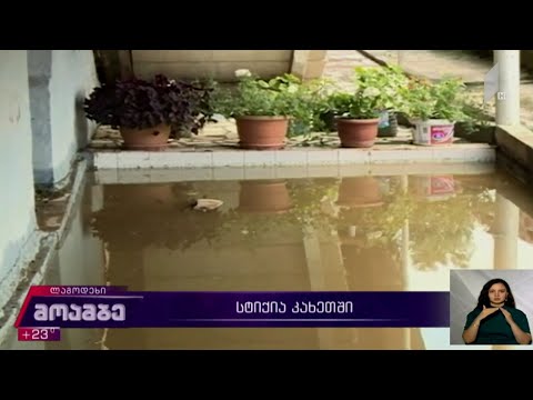 სტიქია კახეთში