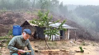 Download Lagu 1000 days of building life in the forest, Building a wooden house to live in nature MP3
