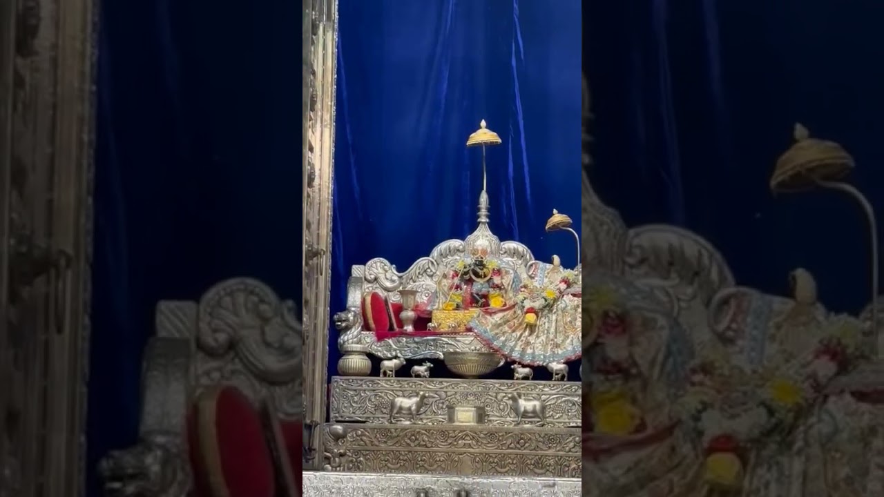 jai radhe Krishna 🙏🙏#radheradhe #vrindavan #vrindavandham #krishna #shots #viral #bhakti #bhajan