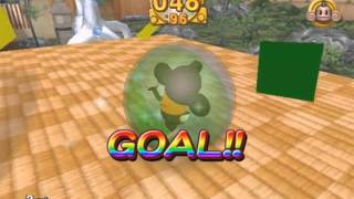 SMB2 Expert 29 8 Bracelets SS Strat