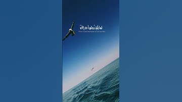 القرآن الكريم تلاوة خاشعة #السعودية #اكسبلور #دويتو #explore #duet