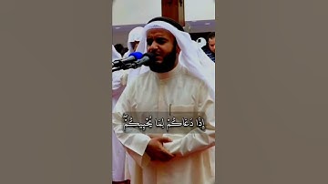 سورة الانفال مشاري العفاسي#قرآن_كريم #القران #سورة_الأنفال  #الله #مشاري_العفاسي #مشاري_راشد_العفاسي