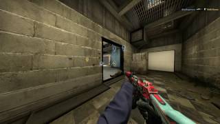 Killing Two of my Teammates with One Nade...