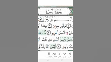 سورة التين Surah Al-Teen ( the Fig)