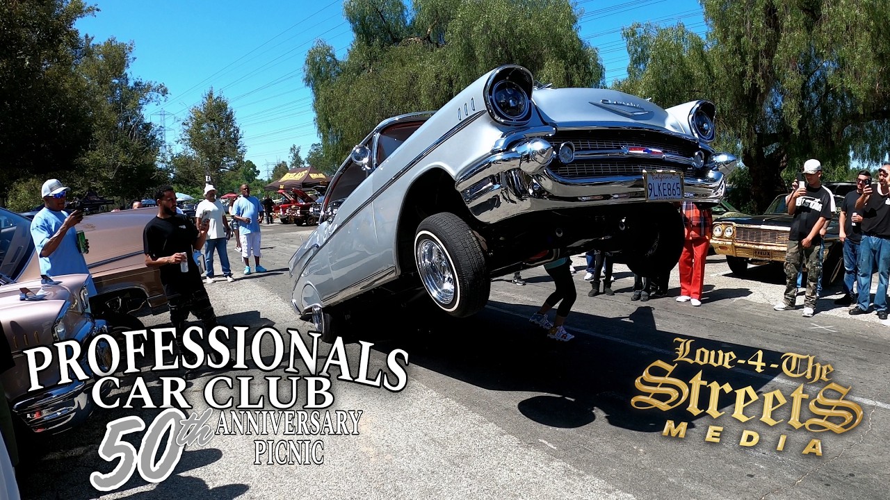 50 YEARS OF PROFESSIONALISM! PROFESSIONALS CC 50TH ANNIVERSARY PICNIC!