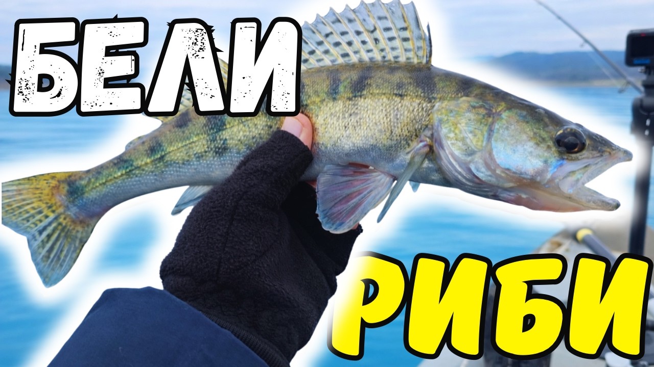 БЕЛИ РИБИ!! РИБОЛОВ на ЯЗОВИР ЖРЕБЧЕВО!