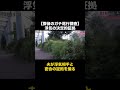 夫と浮気相手が、とんでもない場所での密会の証拠をはっきり撮りました