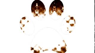 Klasky Csupo In 4Ormulator V12 In Pawprint Major