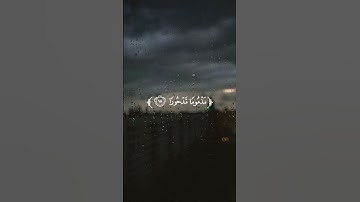 ﴿مَّن كَانَ یُرِیدُ ٱلۡعَاجِلَةَ عَجَّلۡنَا لَهُۥ﴾ [الإسراء ١٨] القارئ : محمد زاهر البارقي