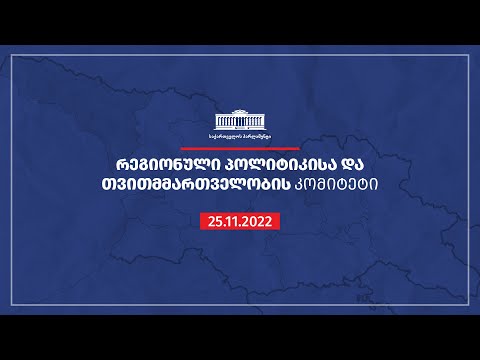 რეგიონული პოლიტიკისა და თვითმმართველობის კომიტეტის სხდომა  - 25.11.2022