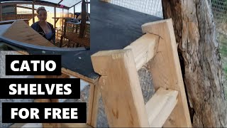 How to build Catio Shelves for free